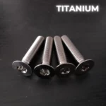 4 screws M6X30 - TITANIUM GR5 - T30