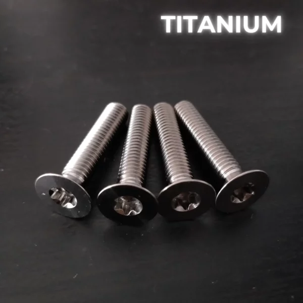 4 vis M6X30 - TITANE GR5 - T30