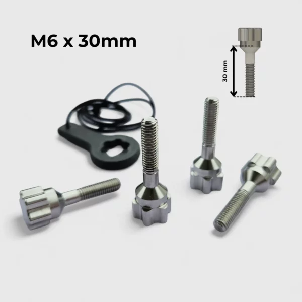 Set de VIS CUSTOM pour platine de foil - INOX A4