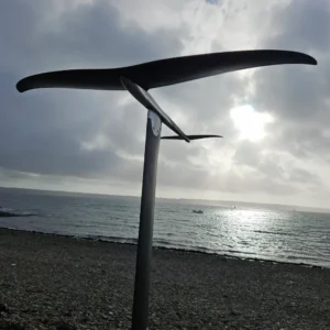 Configurateur - Foil complet - Mat Carbone - Précommande