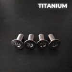 4 screws M6X16 – TITANIUM GR5 – T30