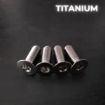 4 screws M6X20 – TITANIUM GR5 – T30