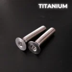 2 screws M8X45 – TITANIUM GR5 – T40