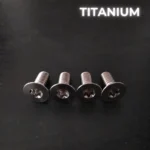 4 screws M6X14 – TITANIUM GR5 – T30<br/>